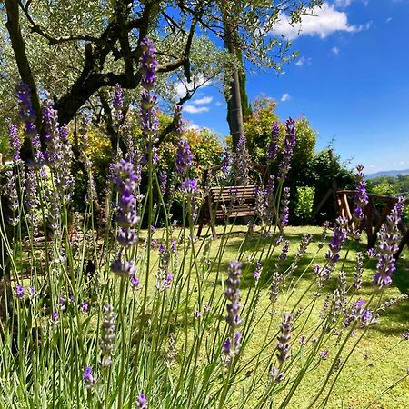 Grove Cottage: Immersed In Nature & Close To Town Città della Pieve Eksteriør bilde