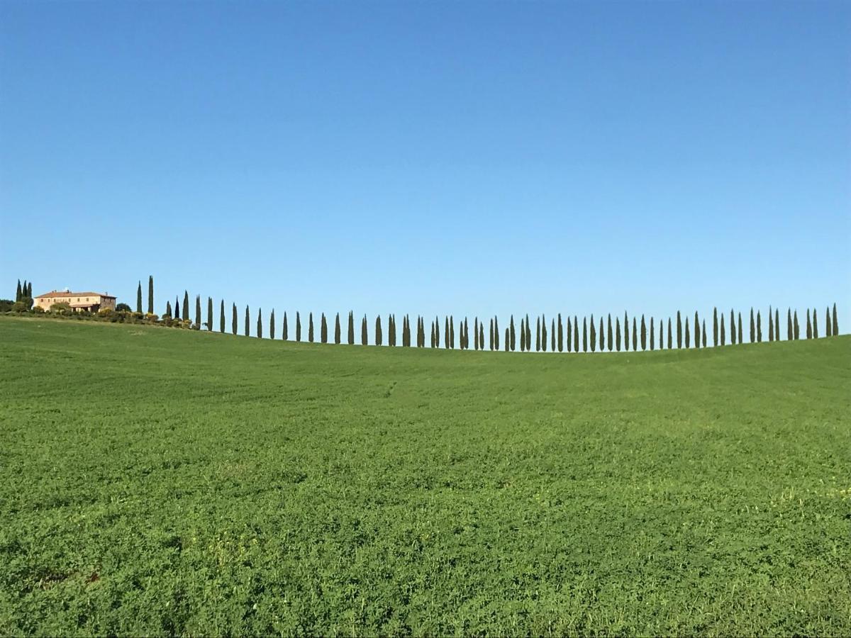 Grove Cottage: Immersed In Nature & Close To Town Città della Pieve Eksteriør bilde