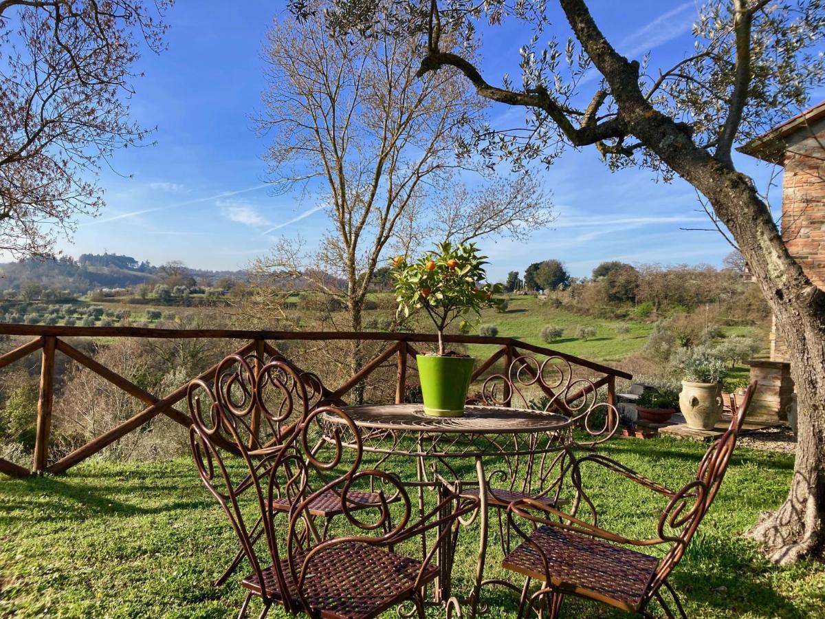 Grove Cottage: Immersed In Nature & Close To Town Città della Pieve Eksteriør bilde