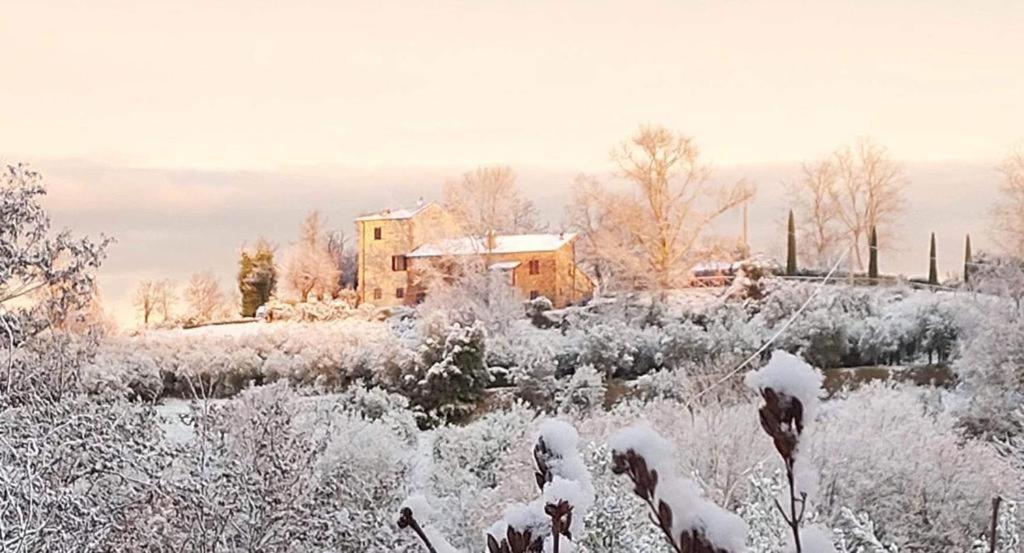 Grove Cottage: Immersed In Nature & Close To Town Città della Pieve Eksteriør bilde