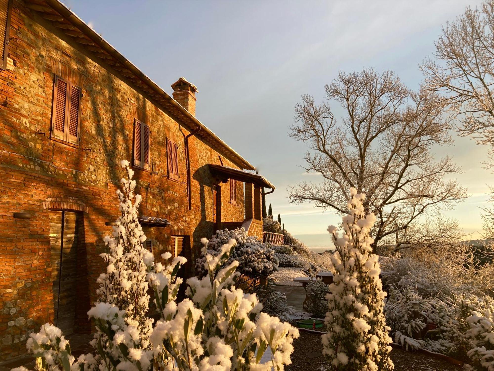 Grove Cottage: Immersed In Nature & Close To Town Città della Pieve Eksteriør bilde