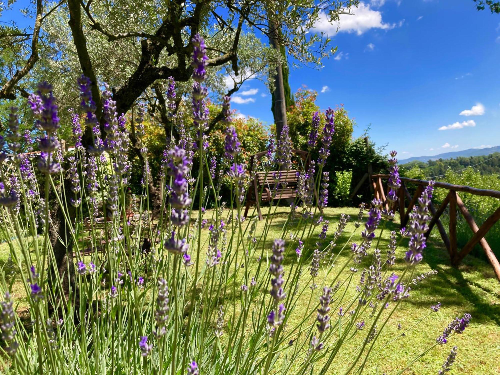 Grove Cottage: Immersed In Nature & Close To Town Città della Pieve Eksteriør bilde