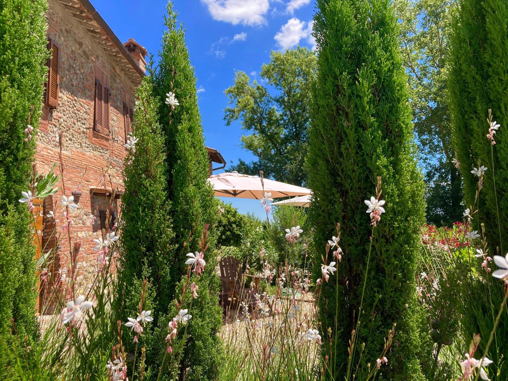 Grove Cottage: Immersed In Nature & Close To Town Città della Pieve Eksteriør bilde